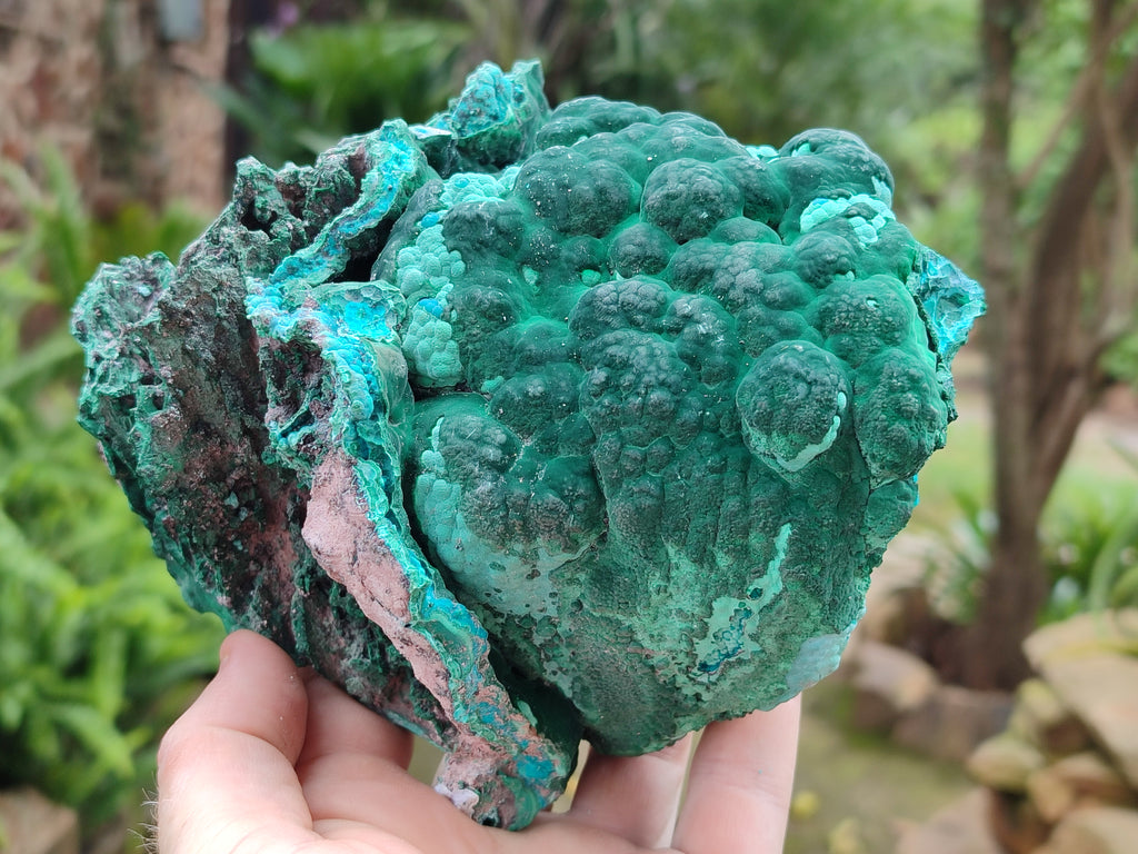 Natural Botryoidal Malacolla Specimens x 1 From Kulukuluku, Congo - Toprock Gemstones and Minerals 