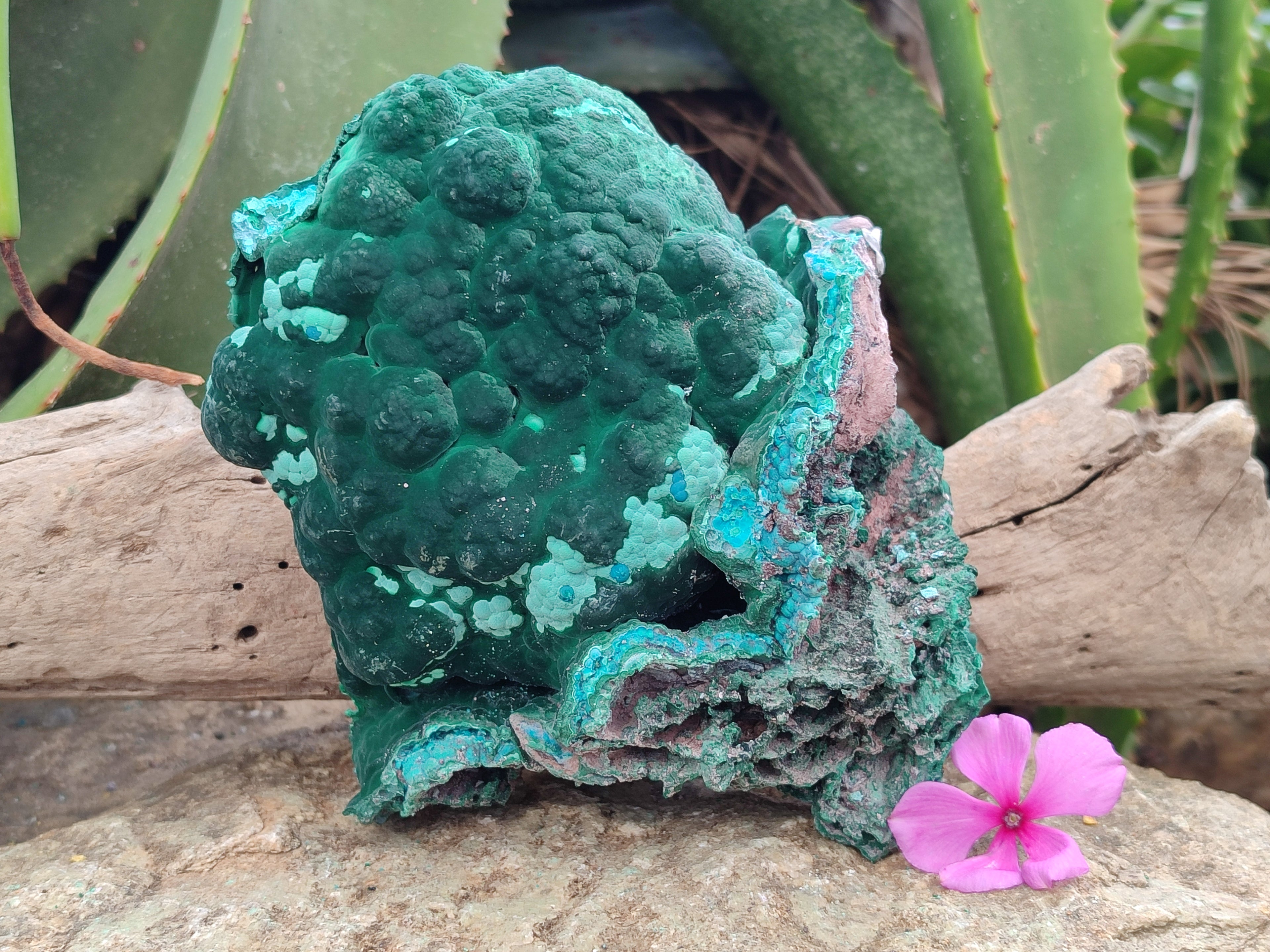 Natural Botryoidal Malacolla Specimens x 1 From Kulukuluku, Congo - Toprock Gemstones and Minerals 