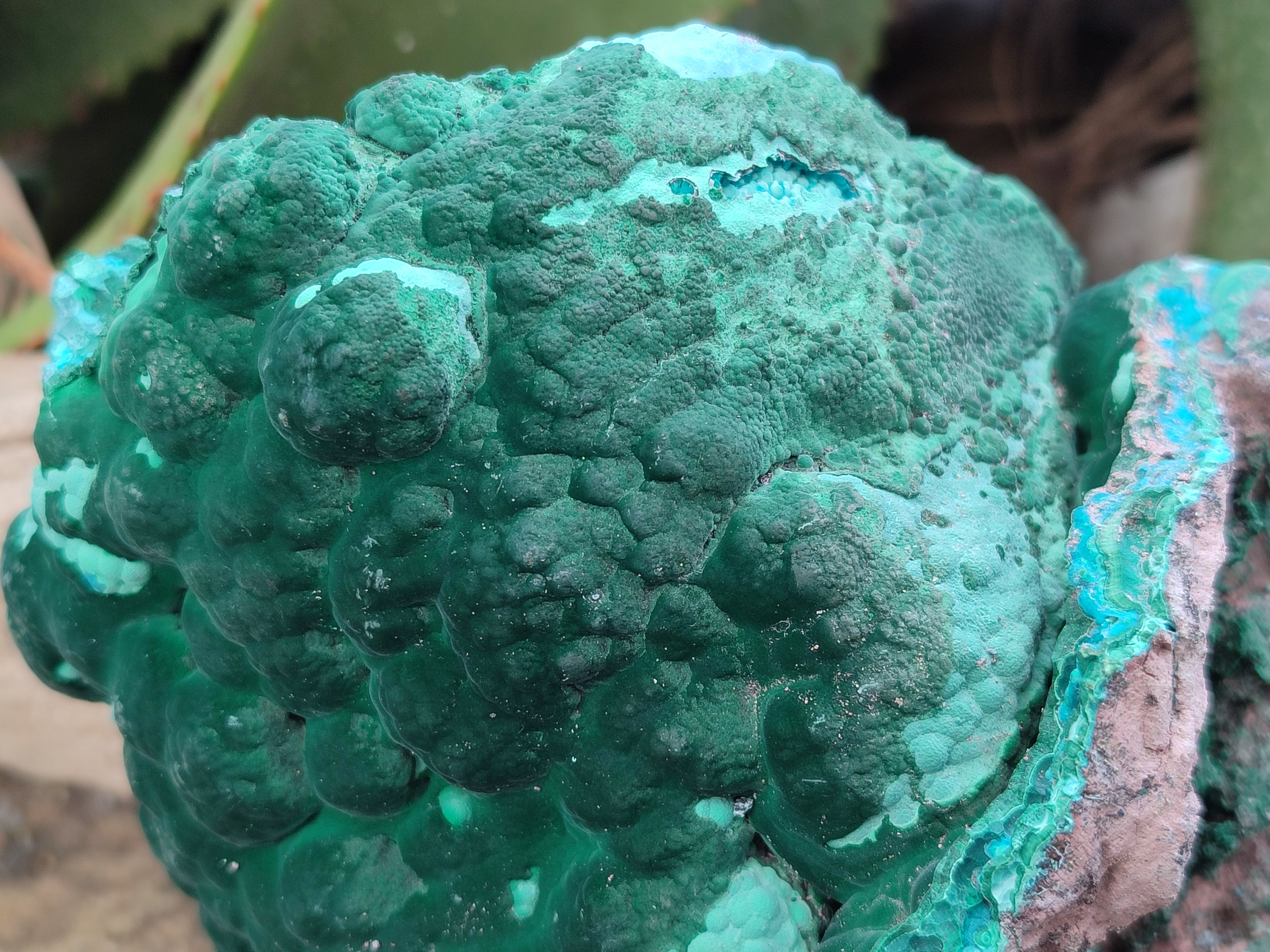 Natural Botryoidal Malacolla Specimens x 1 From Kulukuluku, Congo - Toprock Gemstones and Minerals 