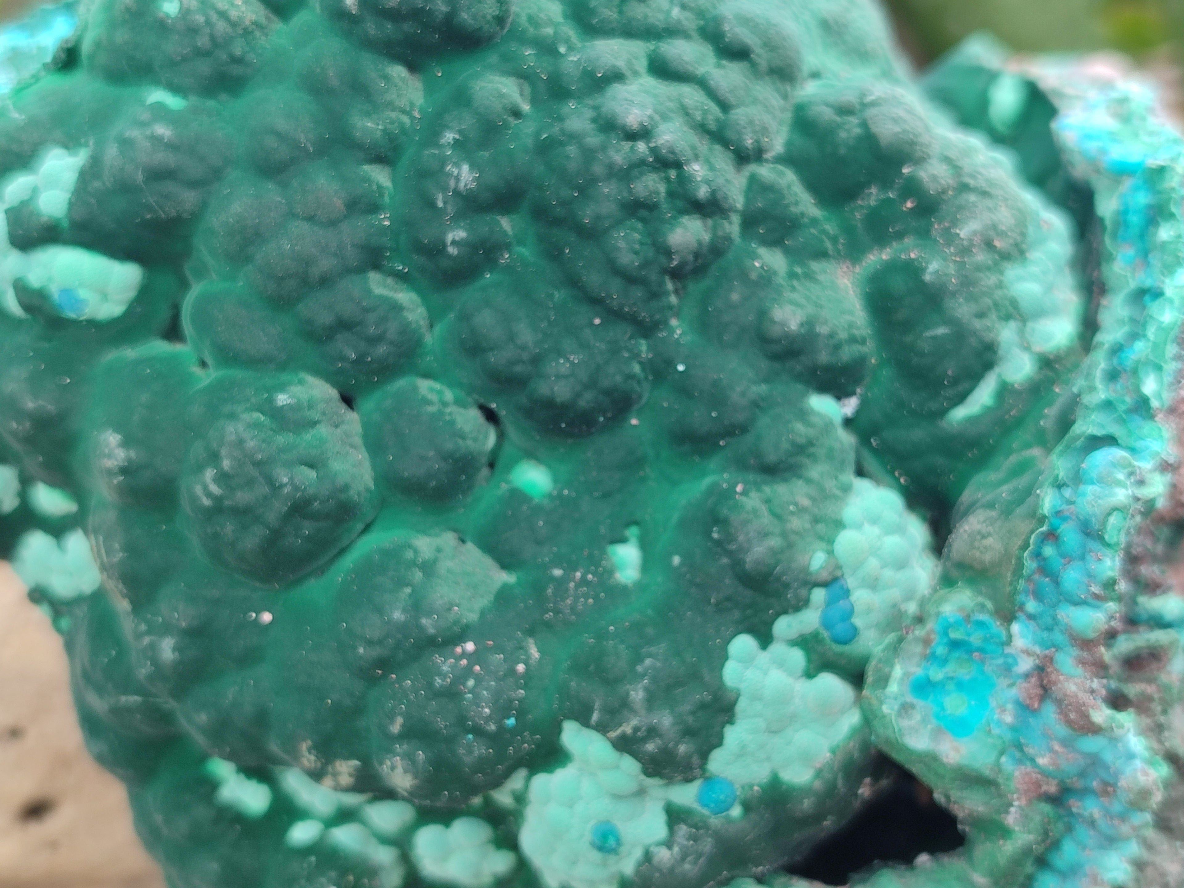 Natural Botryoidal Malacolla Specimens x 1 From Kulukuluku, Congo - Toprock Gemstones and Minerals 