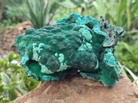 Natural Botryoidal Malacolla Specimens x 1 From Kulukuluku, Congo - Toprock Gemstones and Minerals 