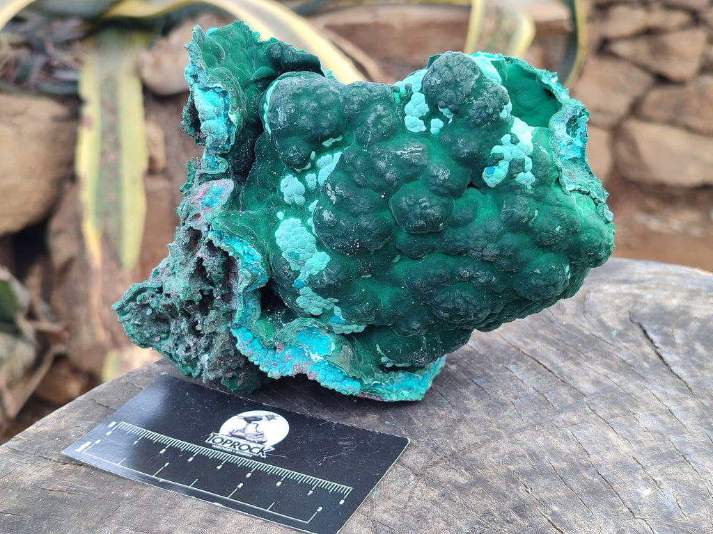 Natural Botryoidal Malacolla Specimens x 1 From Kulukuluku, Congo - Toprock Gemstones and Minerals 