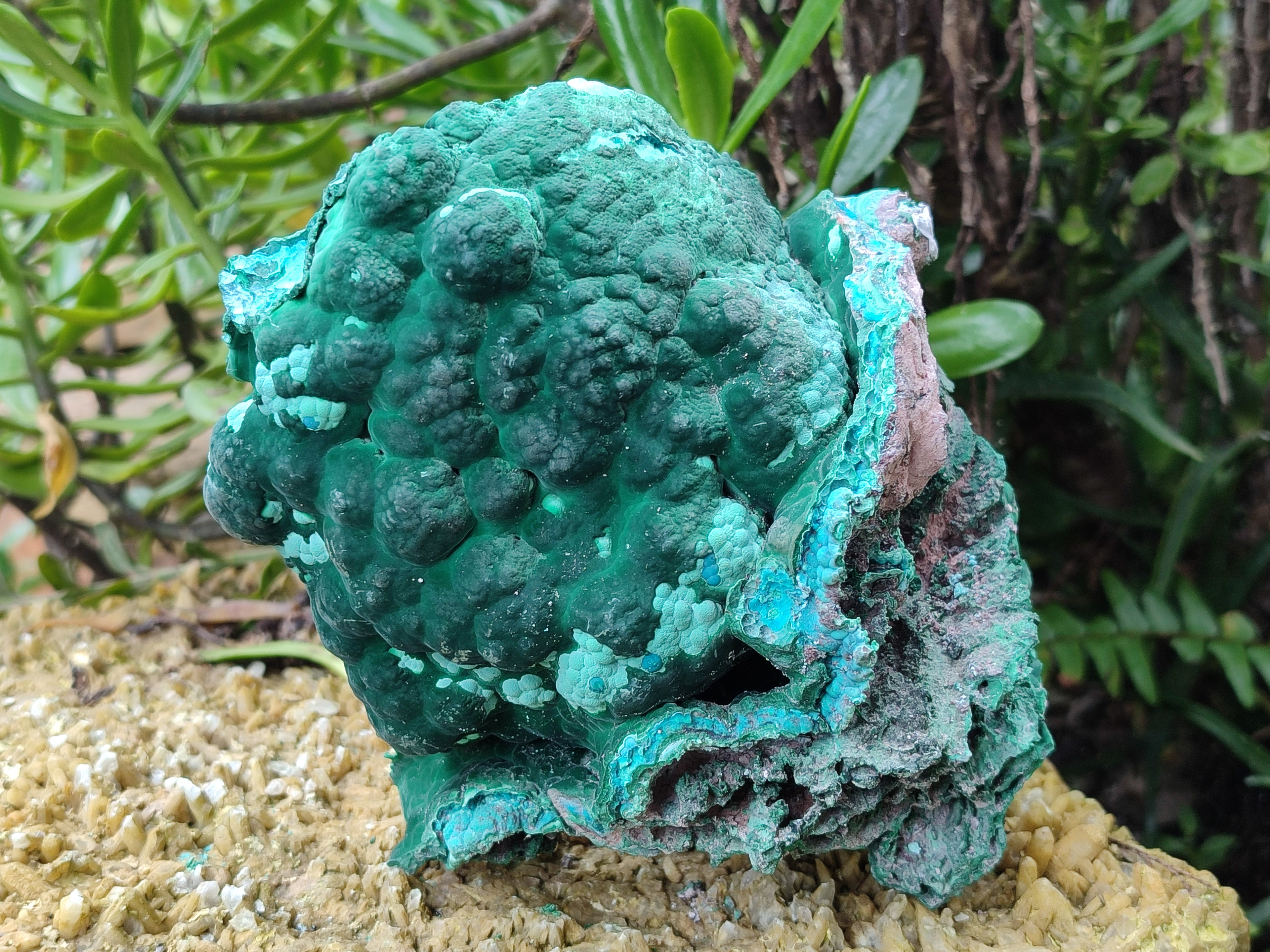 Natural Botryoidal Malacolla Specimens x 1 From Kulukuluku, Congo - Toprock Gemstones and Minerals 