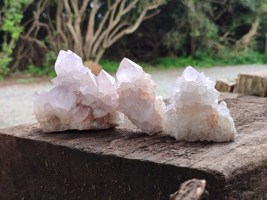 Natural Amethyst Spirit Quartz Clusters x 6 From Boekenhouthoek, South Africa - Toprock Gemstones and Minerals 