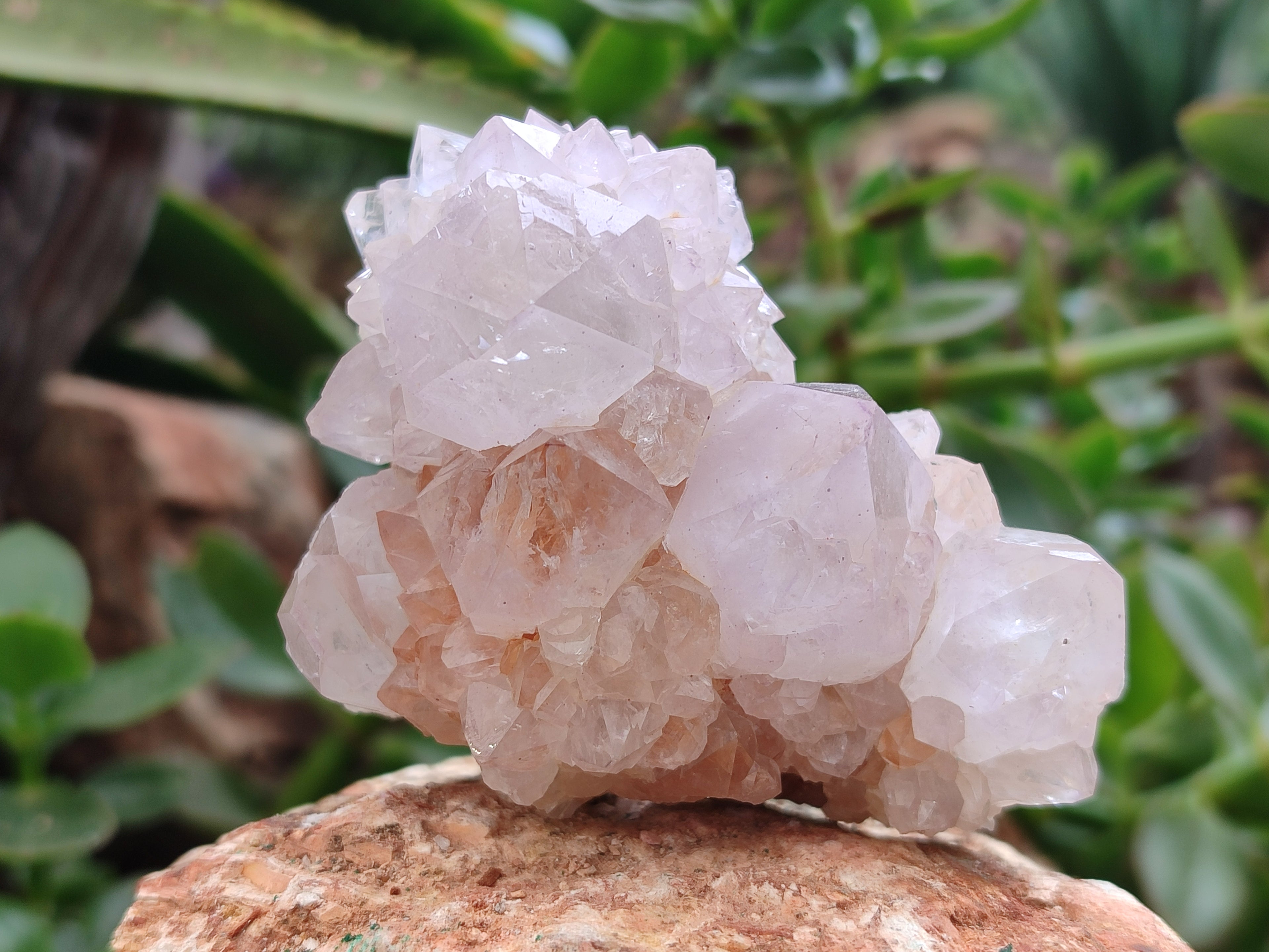Natural Amethyst Spirit Quartz Clusters x 6 From Boekenhouthoek, South Africa - Toprock Gemstones and Minerals 