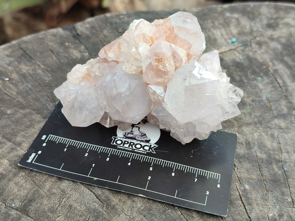 Natural Amethyst Spirit Quartz Clusters x 6 From Boekenhouthoek, South Africa - Toprock Gemstones and Minerals 