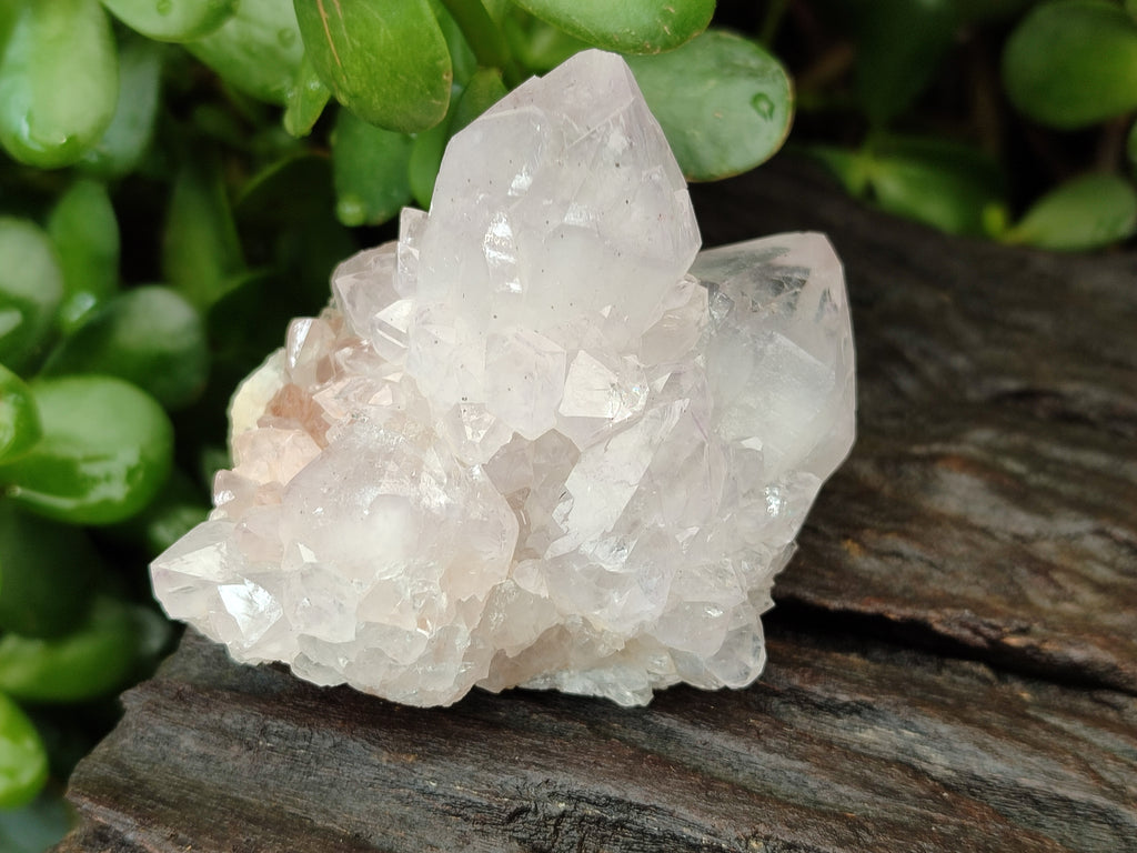 Natural Amethyst Spirit Quartz Clusters x 6 From Boekenhouthoek, South Africa - Toprock Gemstones and Minerals 