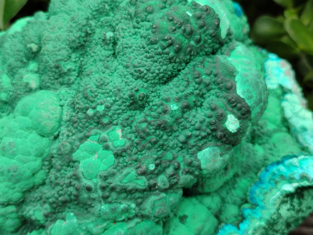 Natural Botryoidal Malacolla Specimens x 1 From Kulukuluku, Congo - Toprock Gemstones and Minerals 