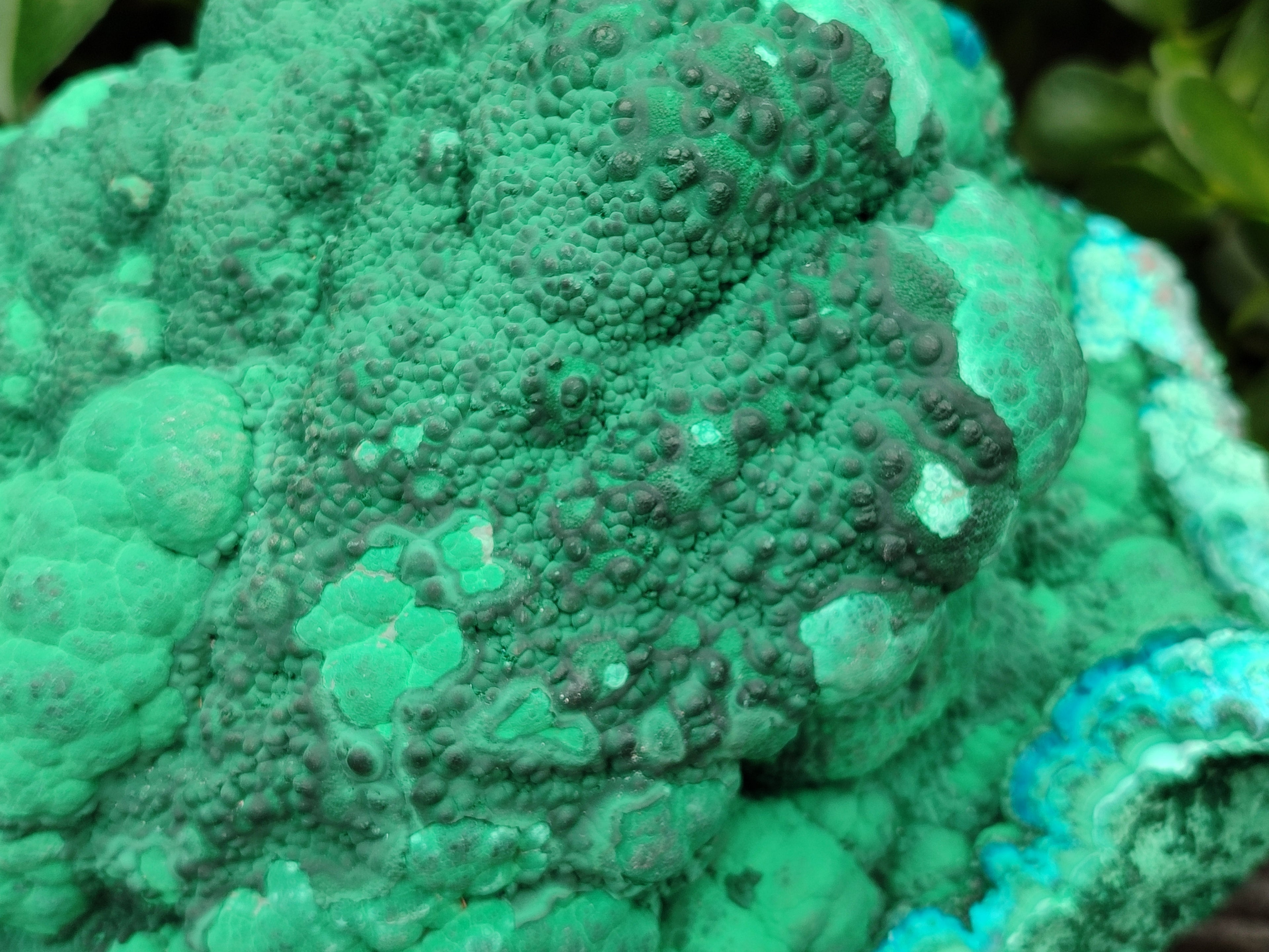 Natural Botryoidal Malacolla Specimens x 1 From Kulukuluku, Congo - Toprock Gemstones and Minerals 