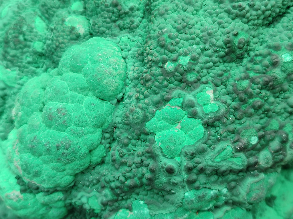 Natural Botryoidal Malacolla Specimens x 1 From Kulukuluku, Congo - Toprock Gemstones and Minerals 