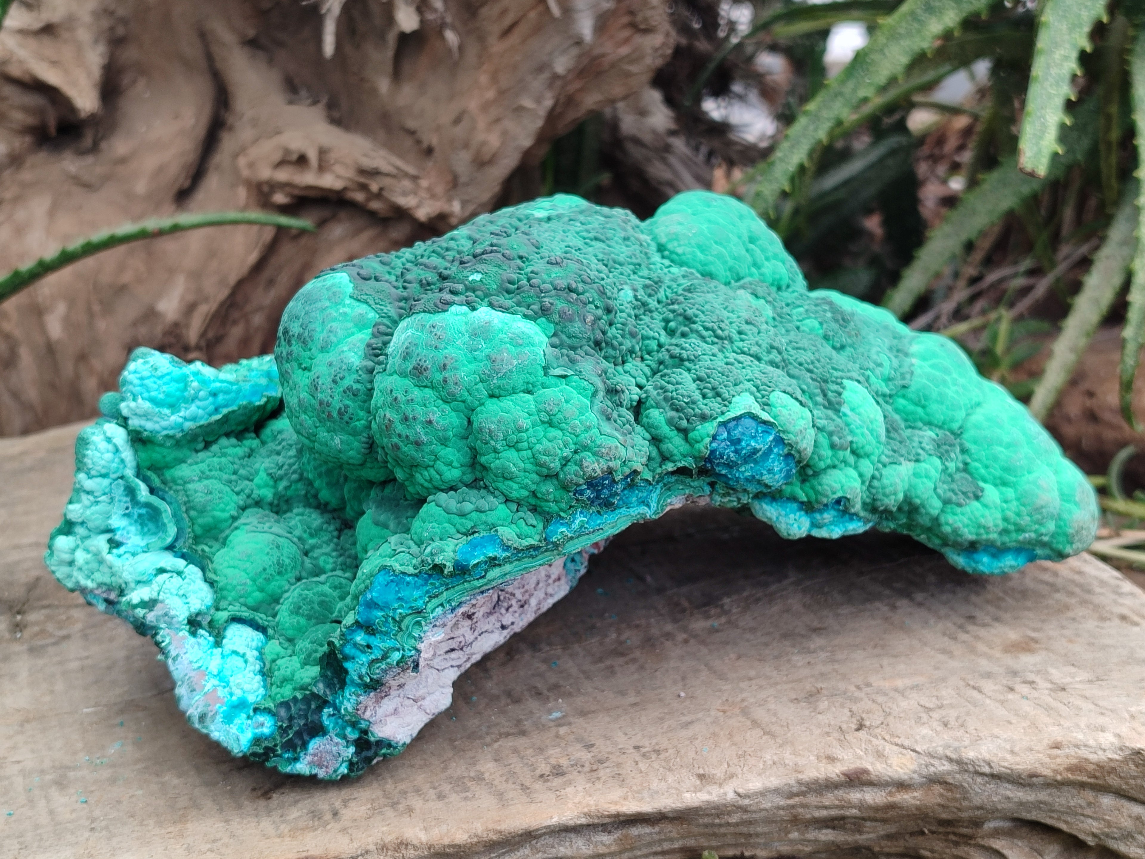 Natural Botryoidal Malacolla Specimens x 1 From Kulukuluku, Congo - Toprock Gemstones and Minerals 