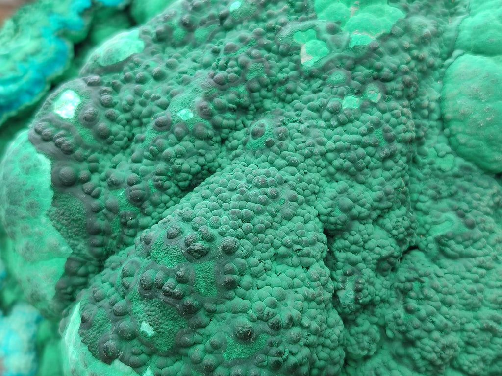 Natural Botryoidal Malacolla Specimens x 1 From Kulukuluku, Congo - Toprock Gemstones and Minerals 