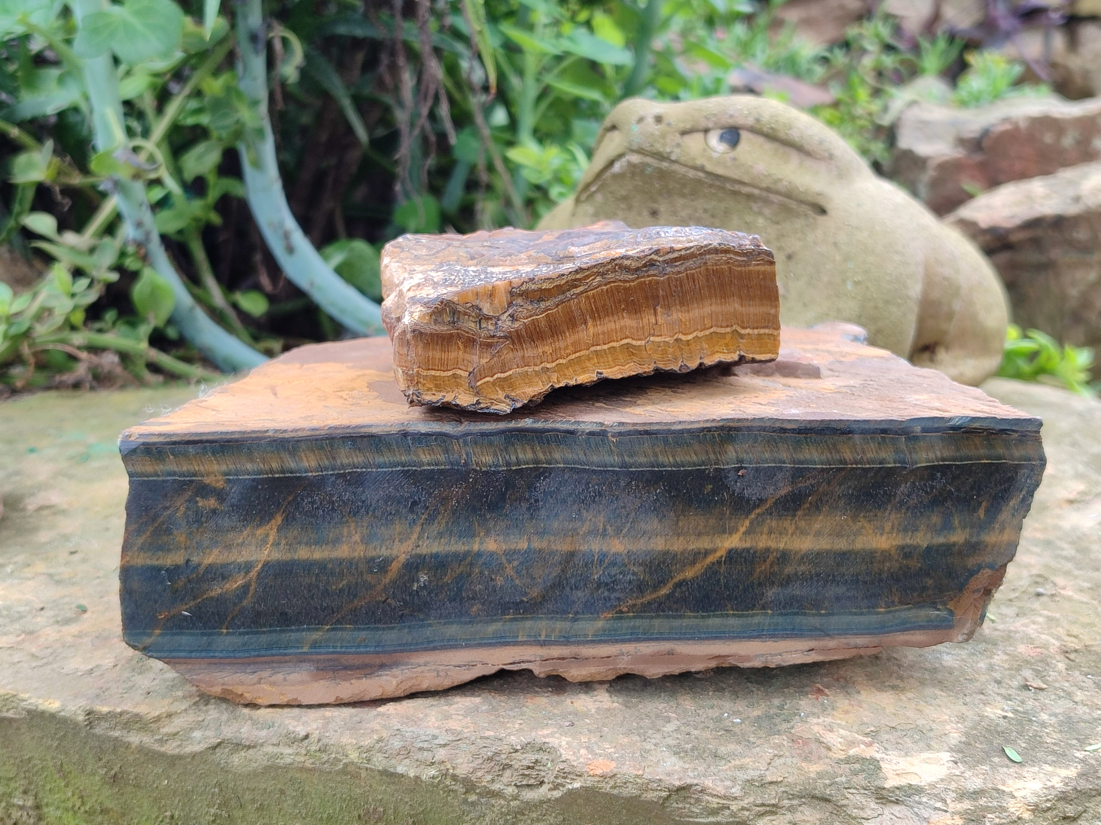 Polished On One Side Tiger's Eye Slabs x 2 From Prieska, South Africa - Toprock Gemstones and Minerals 