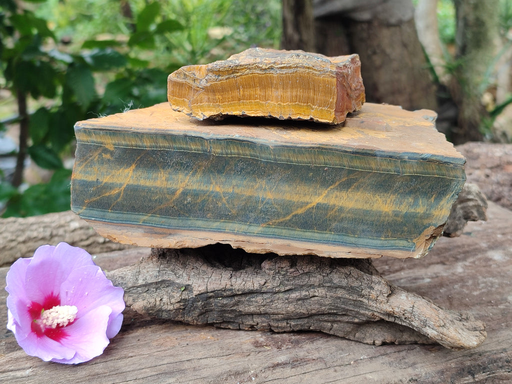 Polished On One Side Tiger's Eye Slabs x 2 From Prieska, South Africa - Toprock Gemstones and Minerals 