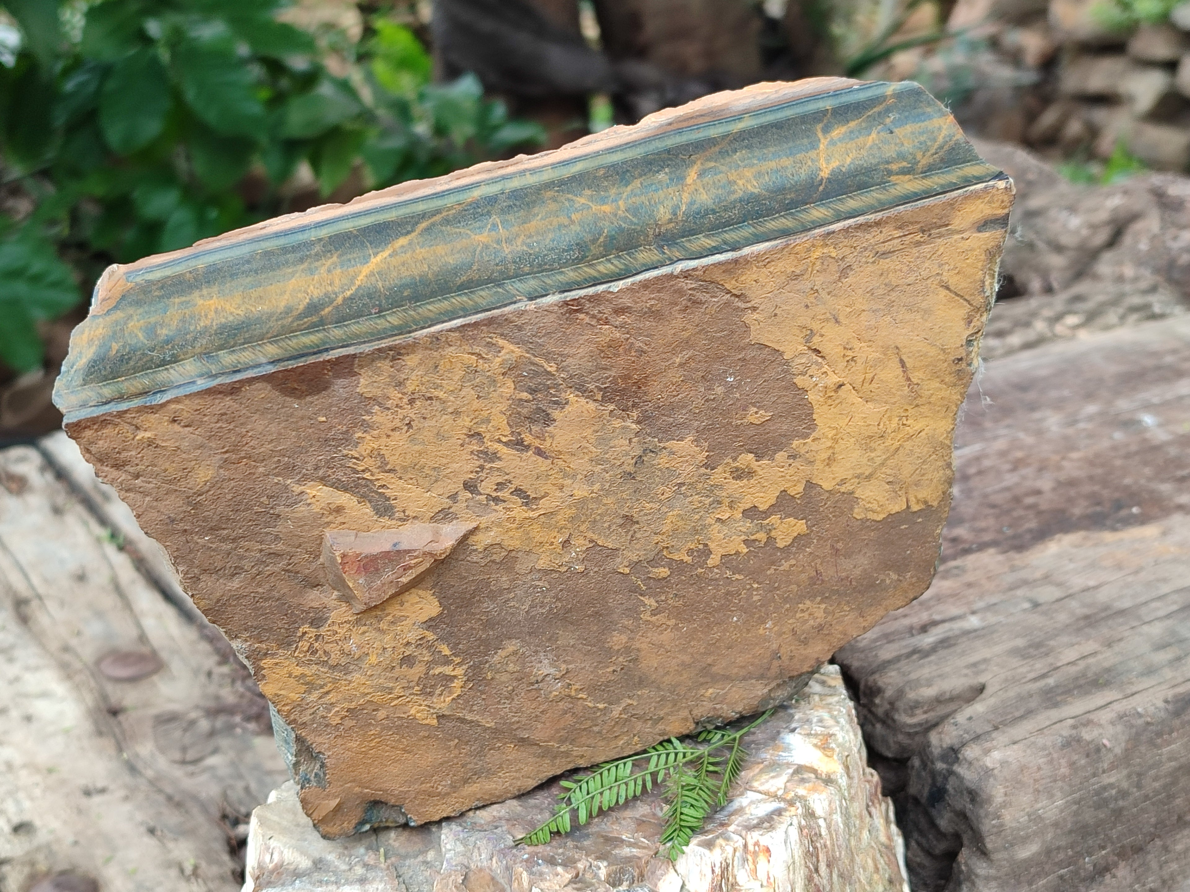 Polished On One Side Tiger's Eye Slabs x 2 From Prieska, South Africa - Toprock Gemstones and Minerals 
