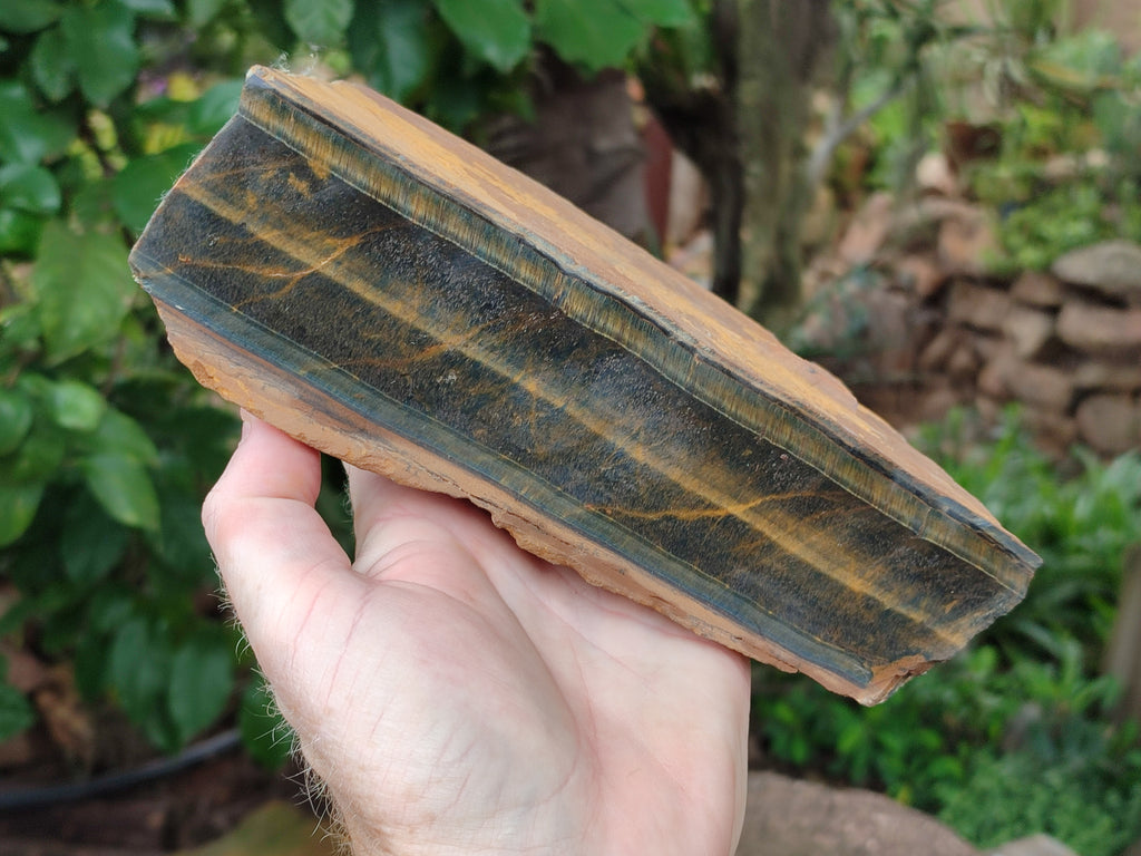 Polished On One Side Tiger's Eye Slabs x 2 From Prieska, South Africa - Toprock Gemstones and Minerals 