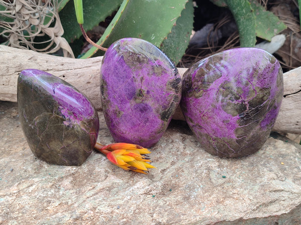 Polished Stichtite Standing Free Forms x 3 From Barberton, South Africa - Toprock Gemstones and Minerals 