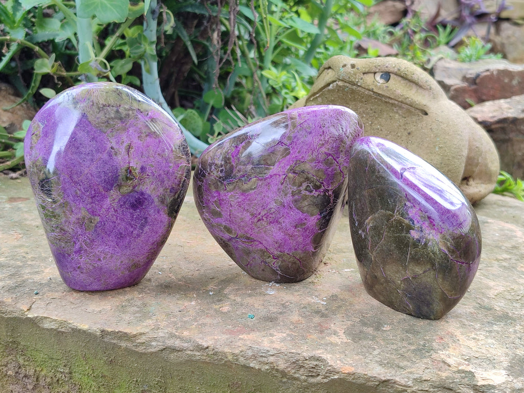 Polished Stichtite Standing Free Forms x 3 From Barberton, South Africa - Toprock Gemstones and Minerals 