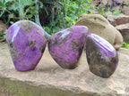 Polished Stichtite Standing Free Forms x 3 From Barberton, South Africa - Toprock Gemstones and Minerals 