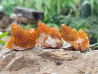 Natural Golden Solar Spirit Quartz Clusters x 35 From Boekenhouthoek, South Africa - Toprock Gemstones and Minerals 