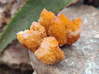 Natural Golden Solar Spirit Quartz Clusters x 35 From Boekenhouthoek, South Africa - Toprock Gemstones and Minerals 