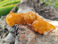 Natural Golden Solar Spirit Quartz Clusters x 35 From Boekenhouthoek, South Africa - Toprock Gemstones and Minerals 
