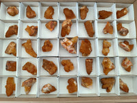 Natural Golden Solar Spirit Quartz Clusters x 35 From Boekenhouthoek, South Africa - Toprock Gemstones and Minerals 