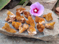 Natural Golden Solar Spirit Quartz Clusters x 35 From Boekenhouthoek, South Africa - Toprock Gemstones and Minerals 