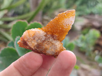 Natural Golden Solar Spirit Quartz Clusters x 35 From Boekenhouthoek, South Africa - Toprock Gemstones and Minerals 