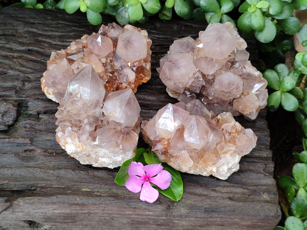 Natural Smokey Amethyst Spirit Quartz Clusters x 4 From Boekenhouthoek, South Africa - Toprock Gemstones and Minerals 