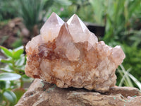 Natural Smokey Amethyst Spirit Quartz Clusters x 4 From Boekenhouthoek, South Africa - Toprock Gemstones and Minerals 
