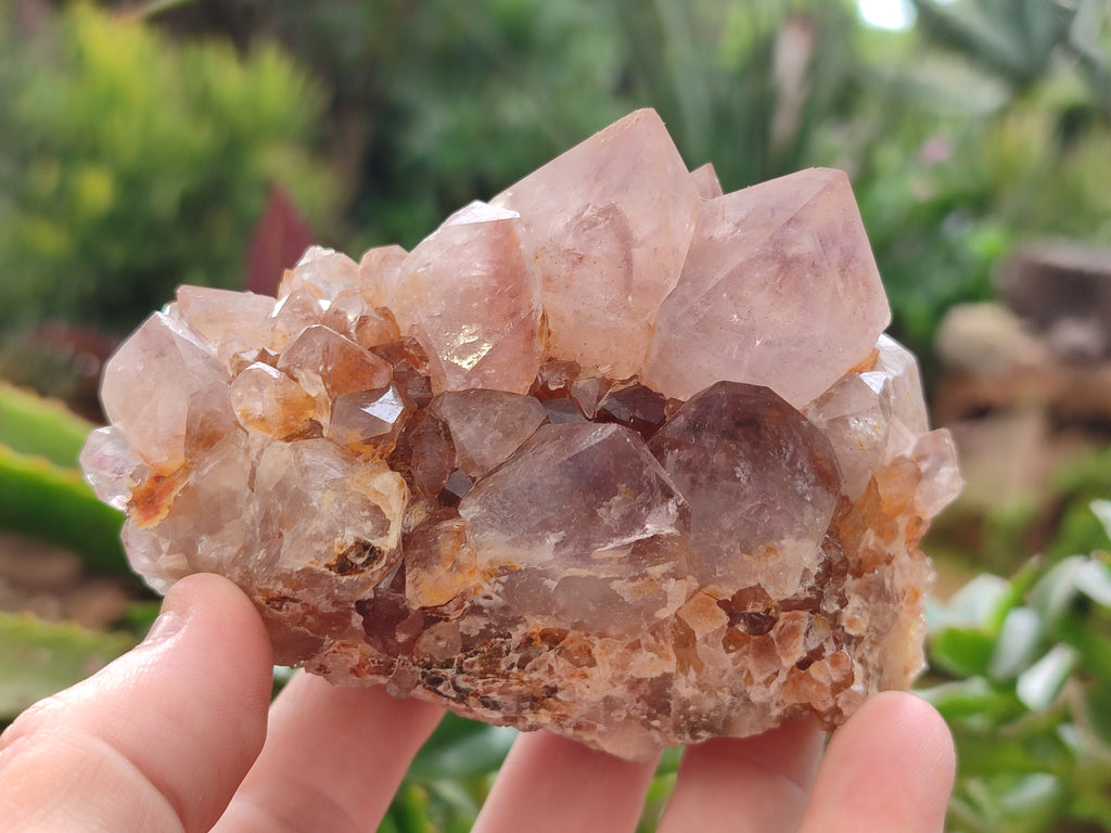 Natural Smokey Amethyst Spirit Quartz Clusters x 4 From Boekenhouthoek, South Africa - Toprock Gemstones and Minerals 