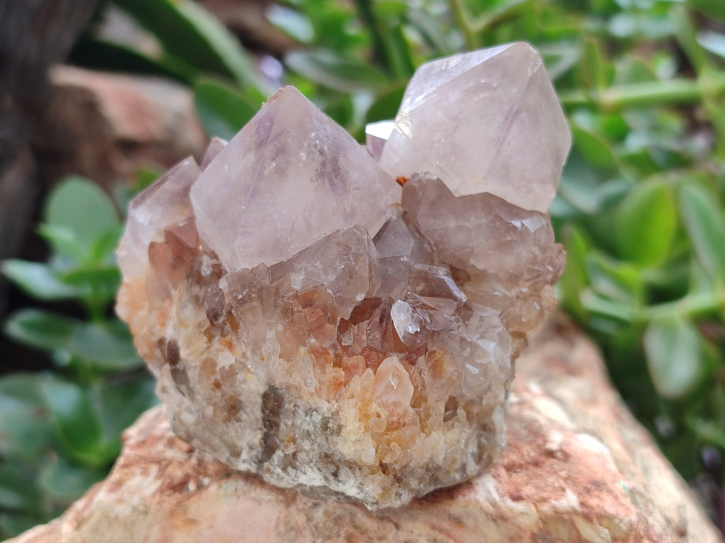 Natural Smokey Amethyst Spirit Quartz Clusters x 4 From Boekenhouthoek, South Africa - Toprock Gemstones and Minerals 