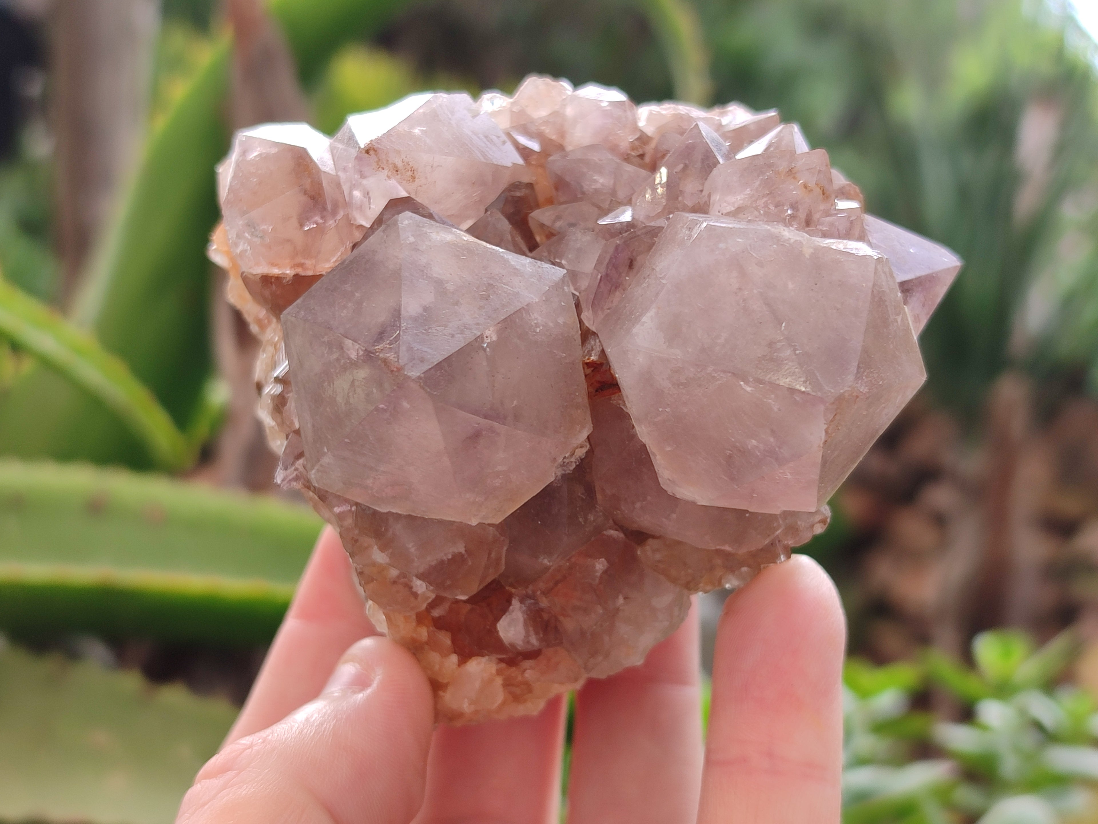 Natural Smokey Amethyst Spirit Quartz Clusters x 4 From Boekenhouthoek, South Africa - Toprock Gemstones and Minerals 