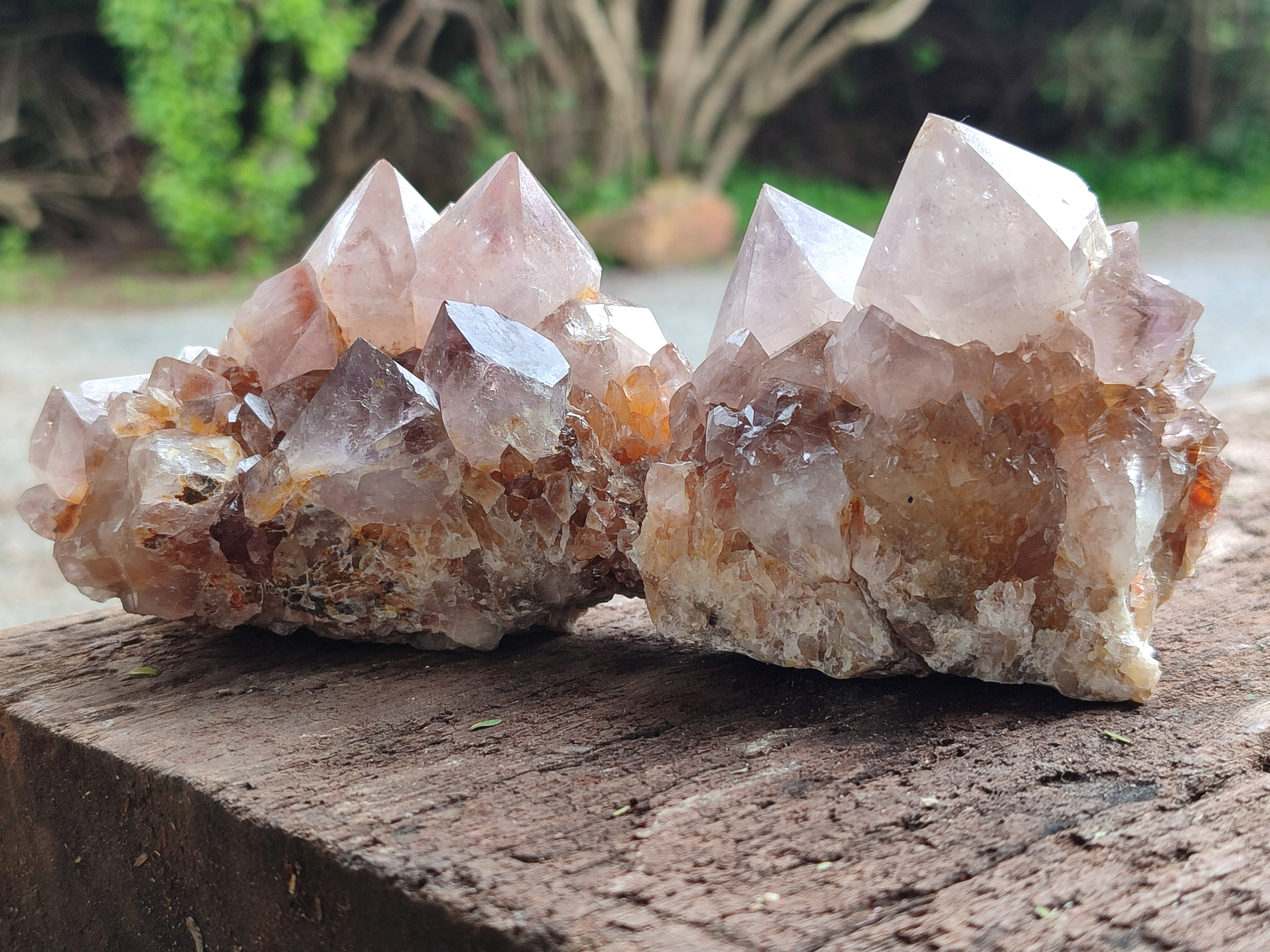 Natural Smokey Amethyst Spirit Quartz Clusters x 4 From Boekenhouthoek, South Africa - Toprock Gemstones and Minerals 