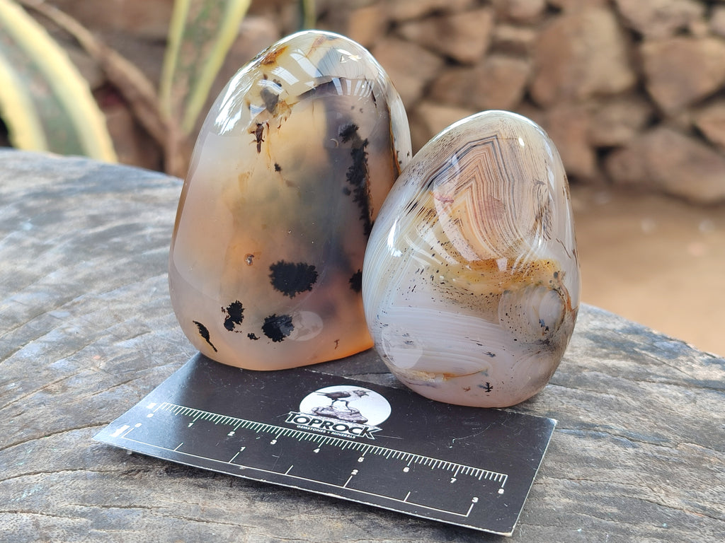 Polished Banded Agate Standing Free Forms x 6 From Madagascar - Toprock Gemstones and Minerals 