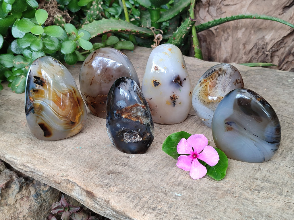 Polished Banded Agate Standing Free Forms x 6 From Madagascar - Toprock Gemstones and Minerals 
