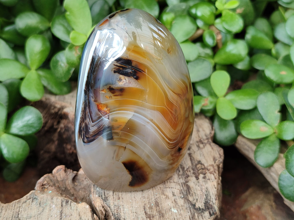 Polished Banded Agate Standing Free Forms x 6 From Madagascar - Toprock Gemstones and Minerals 