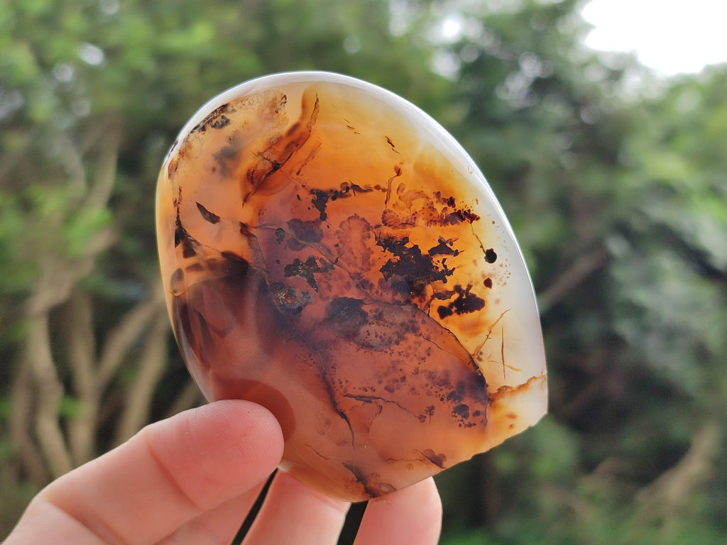 Polished Banded Agate Standing Free Forms x 6 From Madagascar - Toprock Gemstones and Minerals 