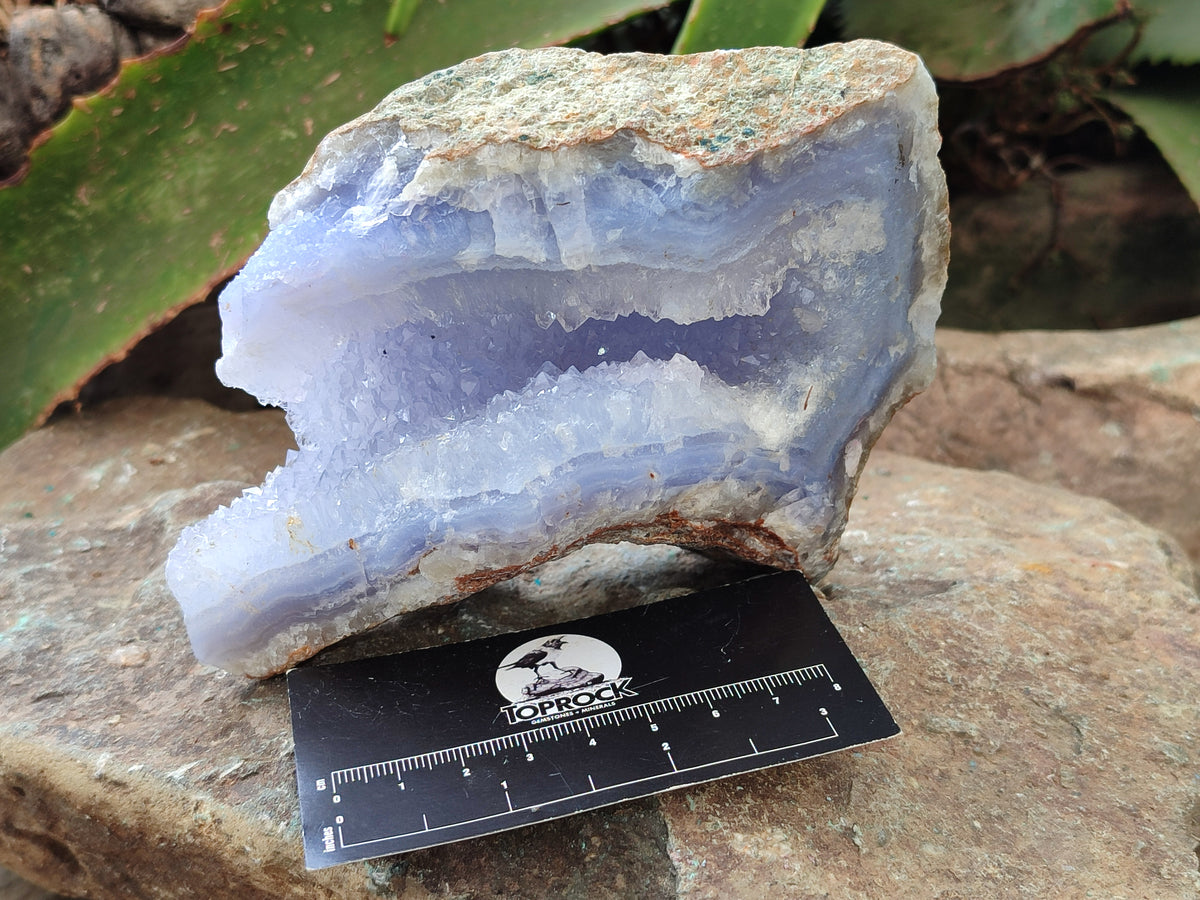 Natural Blue Lace Agate Geode Specimens x 3 From Nsanje, Malawi - Toprock Gemstones and Minerals 
