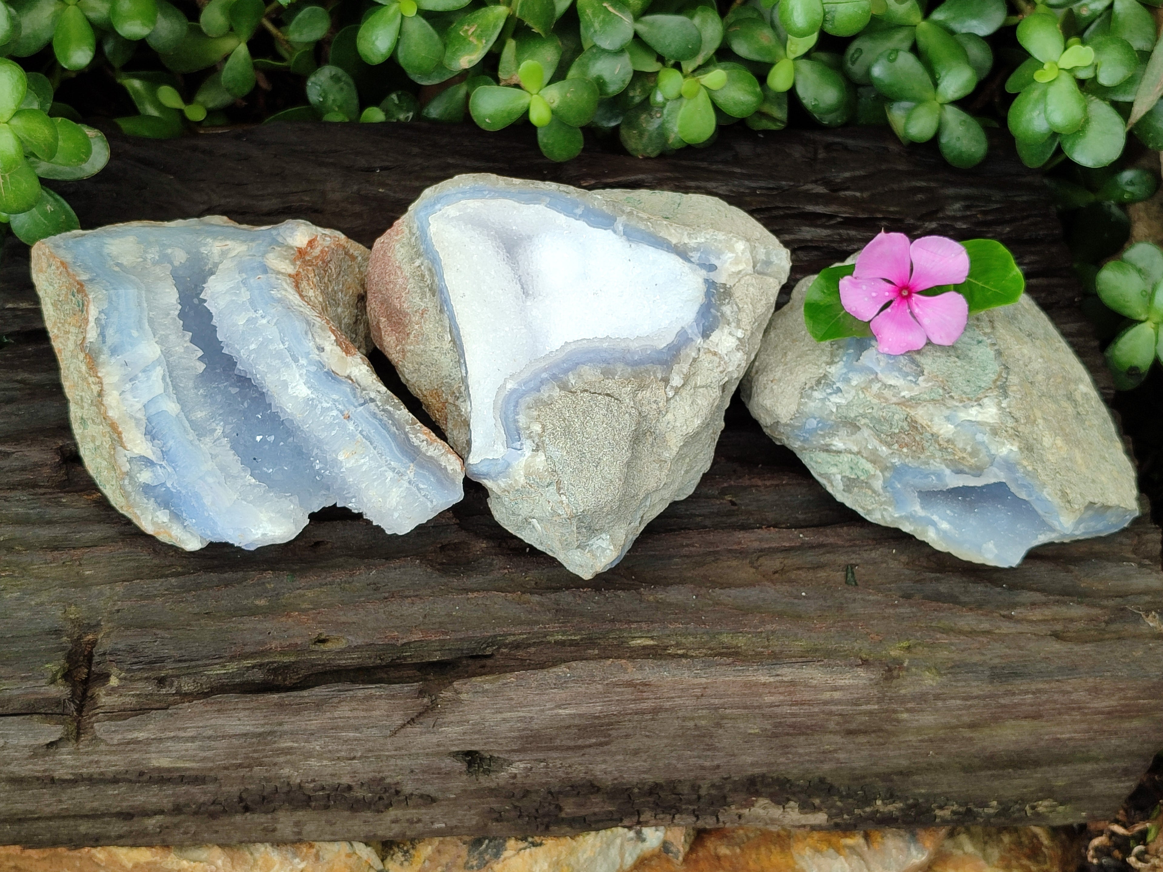 Natural Blue Lace Agate Geode Specimens x 3 From Nsanje, Malawi - Toprock Gemstones and Minerals 