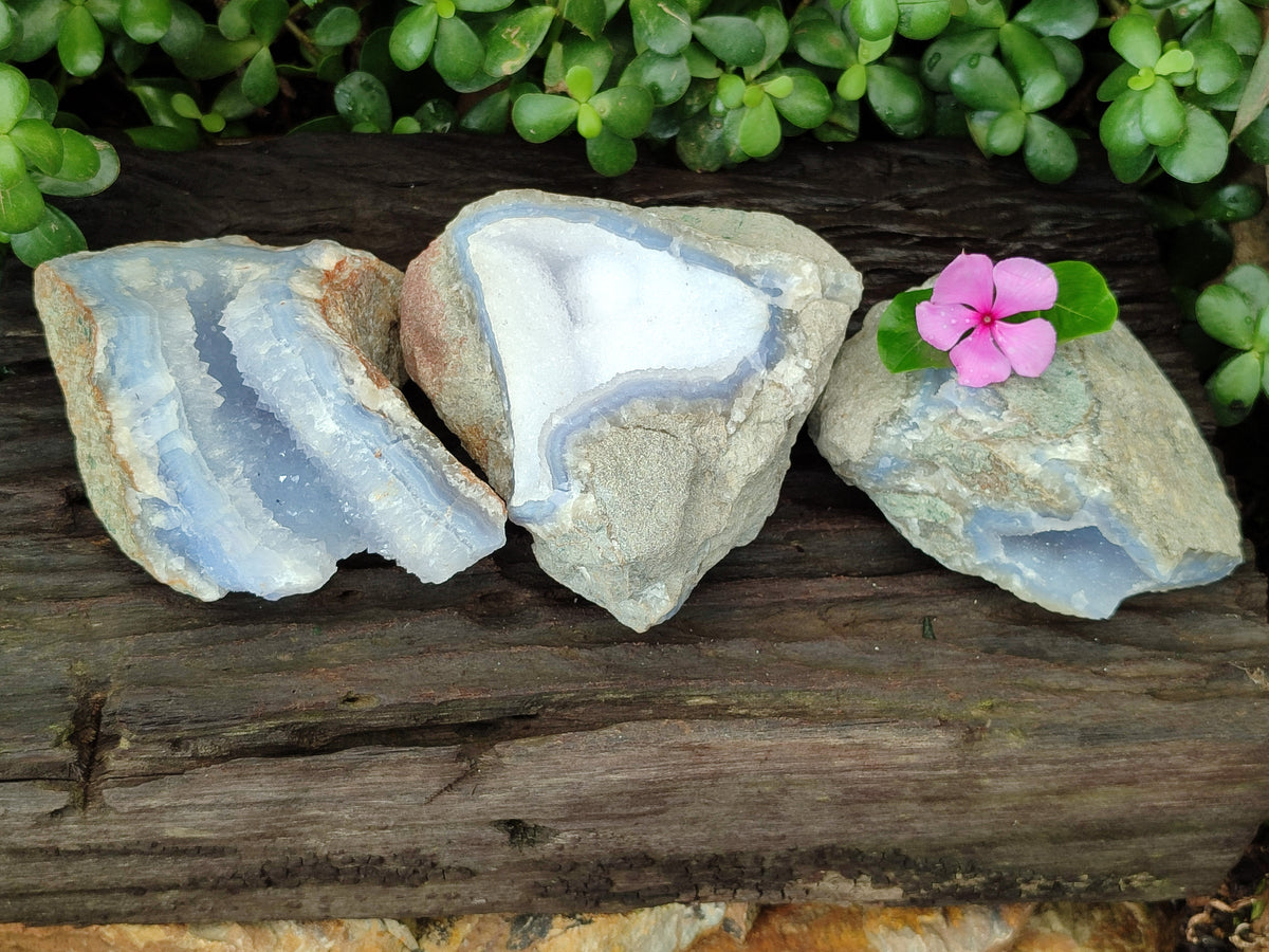 Natural Blue Lace Agate Geode Specimens x 3 From Nsanje, Malawi - Toprock Gemstones and Minerals 