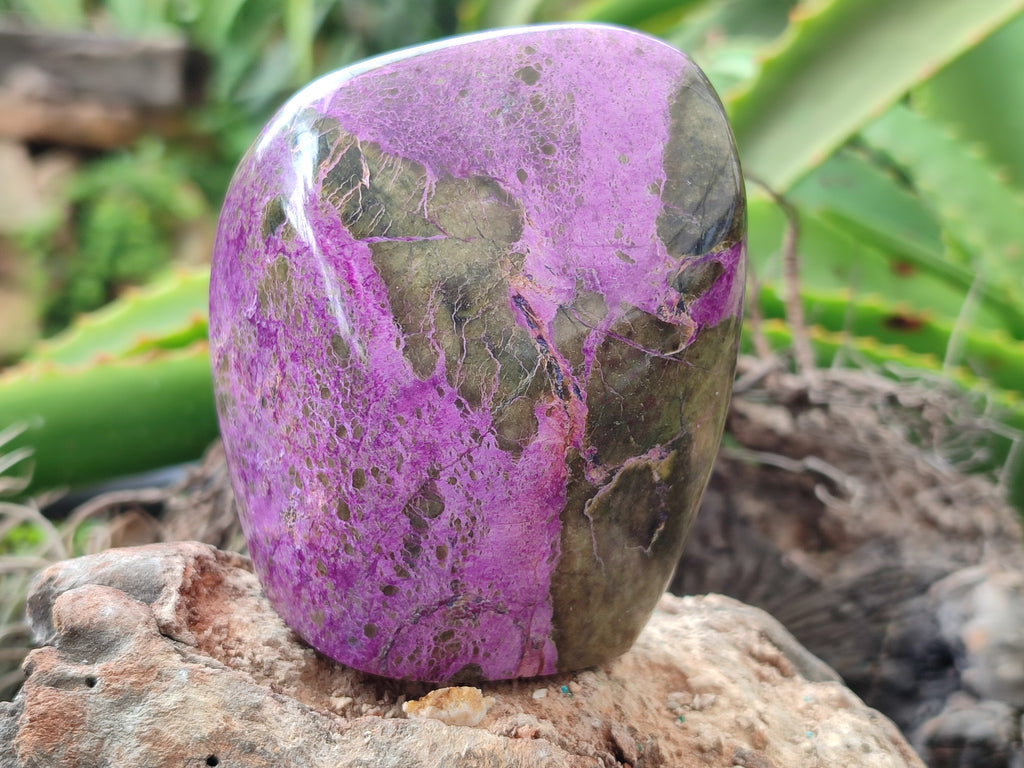 Polished Stichtite Standing Free Forms x 3 From Barberton, South Africa - Toprock Gemstones and Minerals 