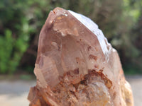 Natural Hematoid Quartz Clusters x 4 From Karoi, Zimbabwe - Toprock Gemstones and Minerals 