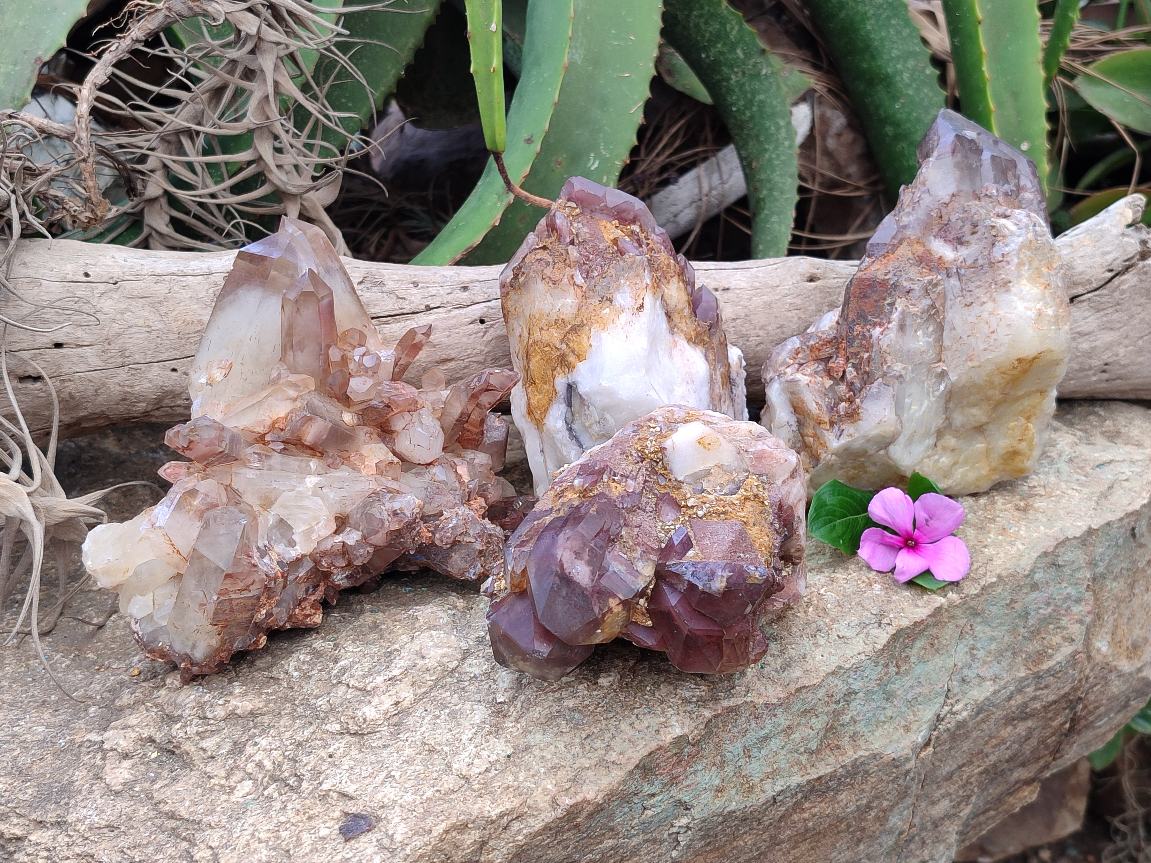 Natural Hematoid Quartz Clusters x 4 From Karoi, Zimbabwe - Toprock Gemstones and Minerals 