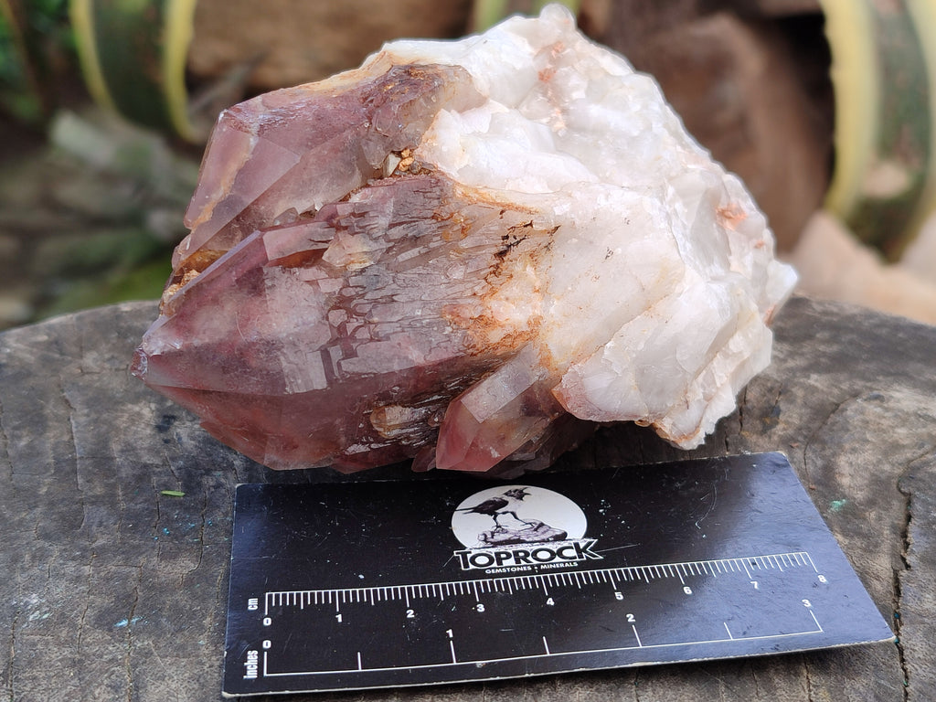 Natural Hematoid Quartz Clusters x 4 From Karoi, Zimbabwe - Toprock Gemstones and Minerals 