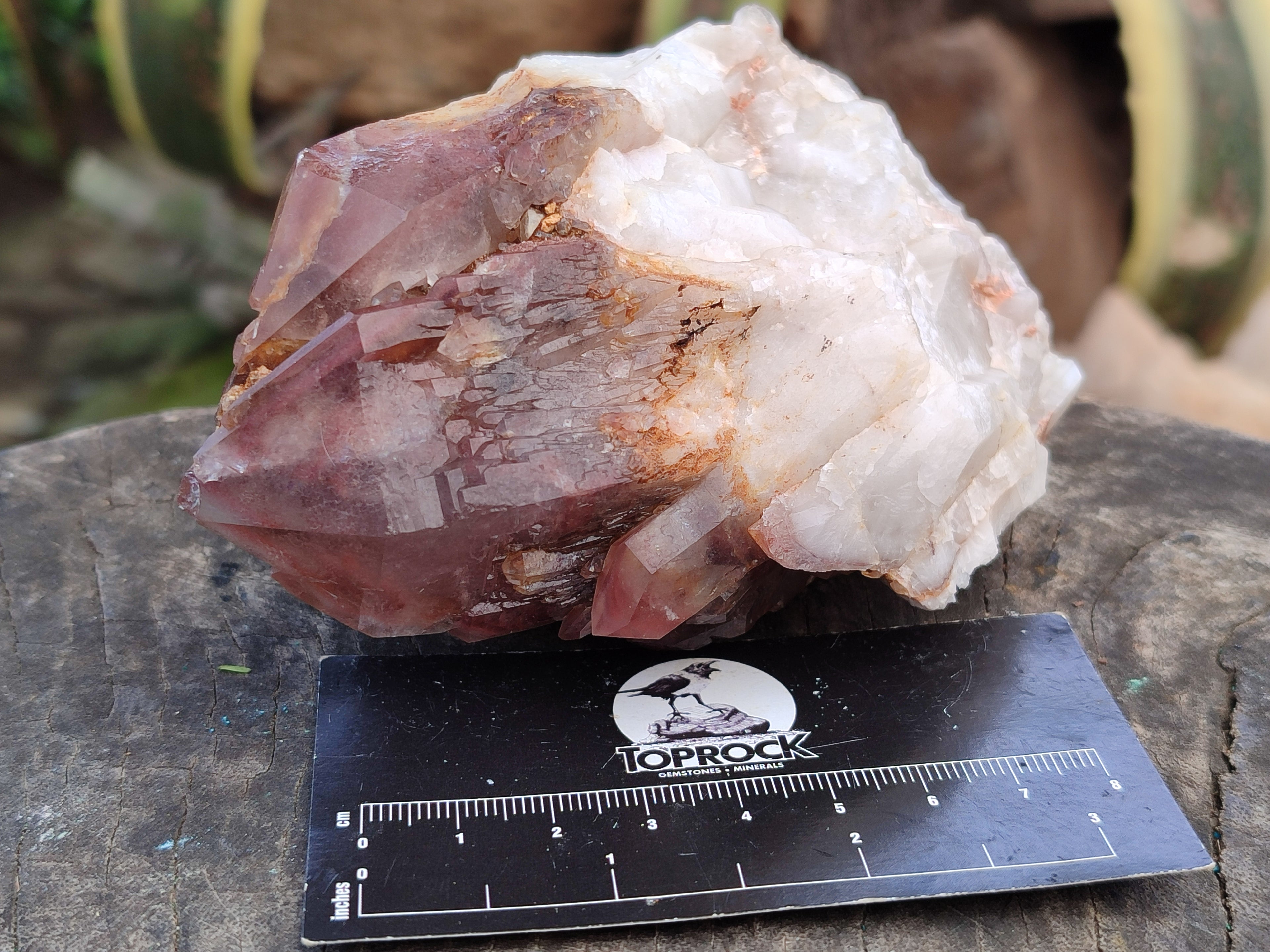 Natural Hematoid Quartz Clusters x 4 From Karoi, Zimbabwe - Toprock Gemstones and Minerals 