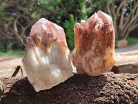 Natural Hematoid Quartz Clusters x 4 From Karoi, Zimbabwe - Toprock Gemstones and Minerals 