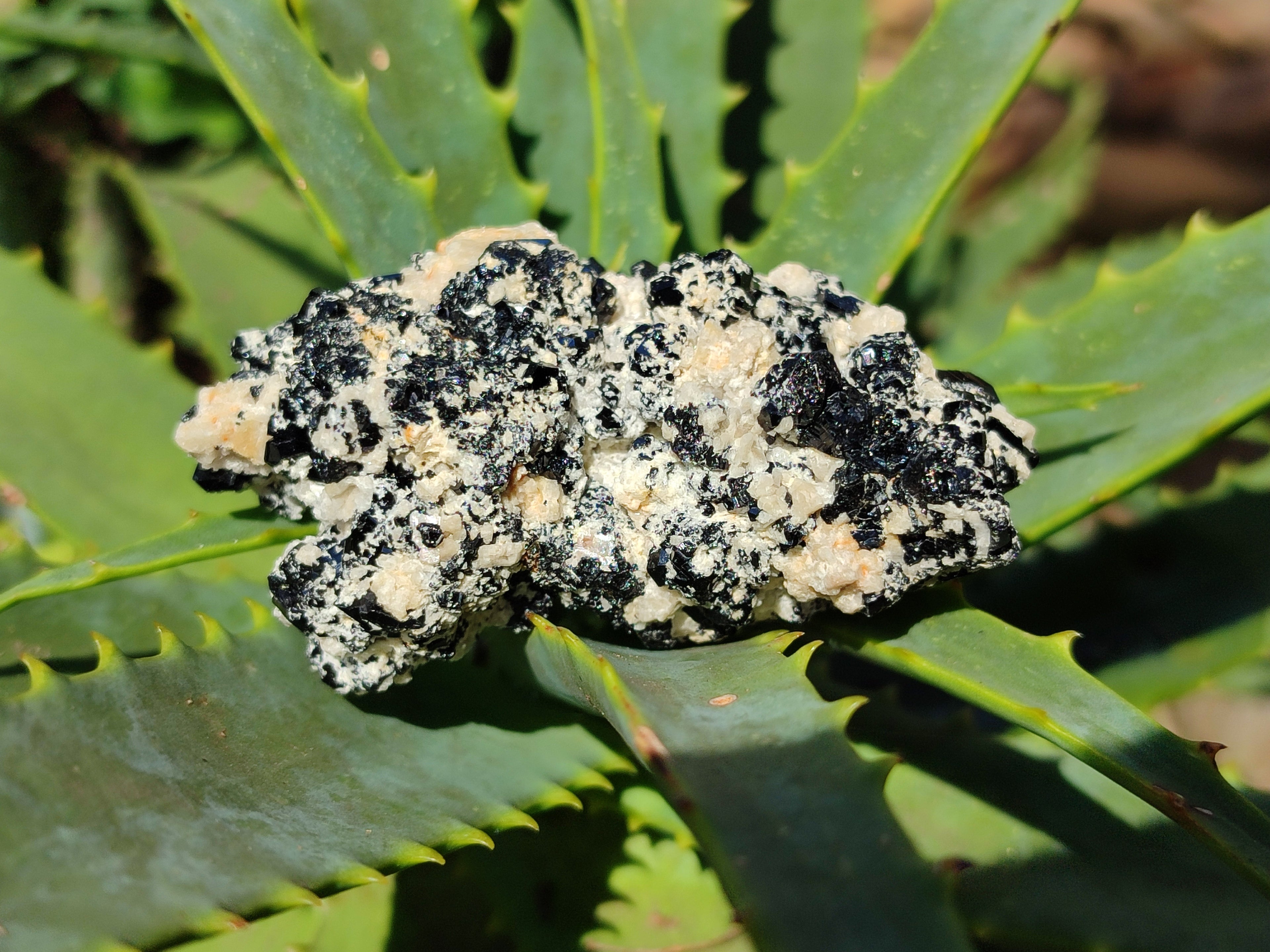 Natural Schorl Black Tourmaline With Hyalite Opal Specimens x 12 From Namibia - Toprock Gemstones and Minerals 