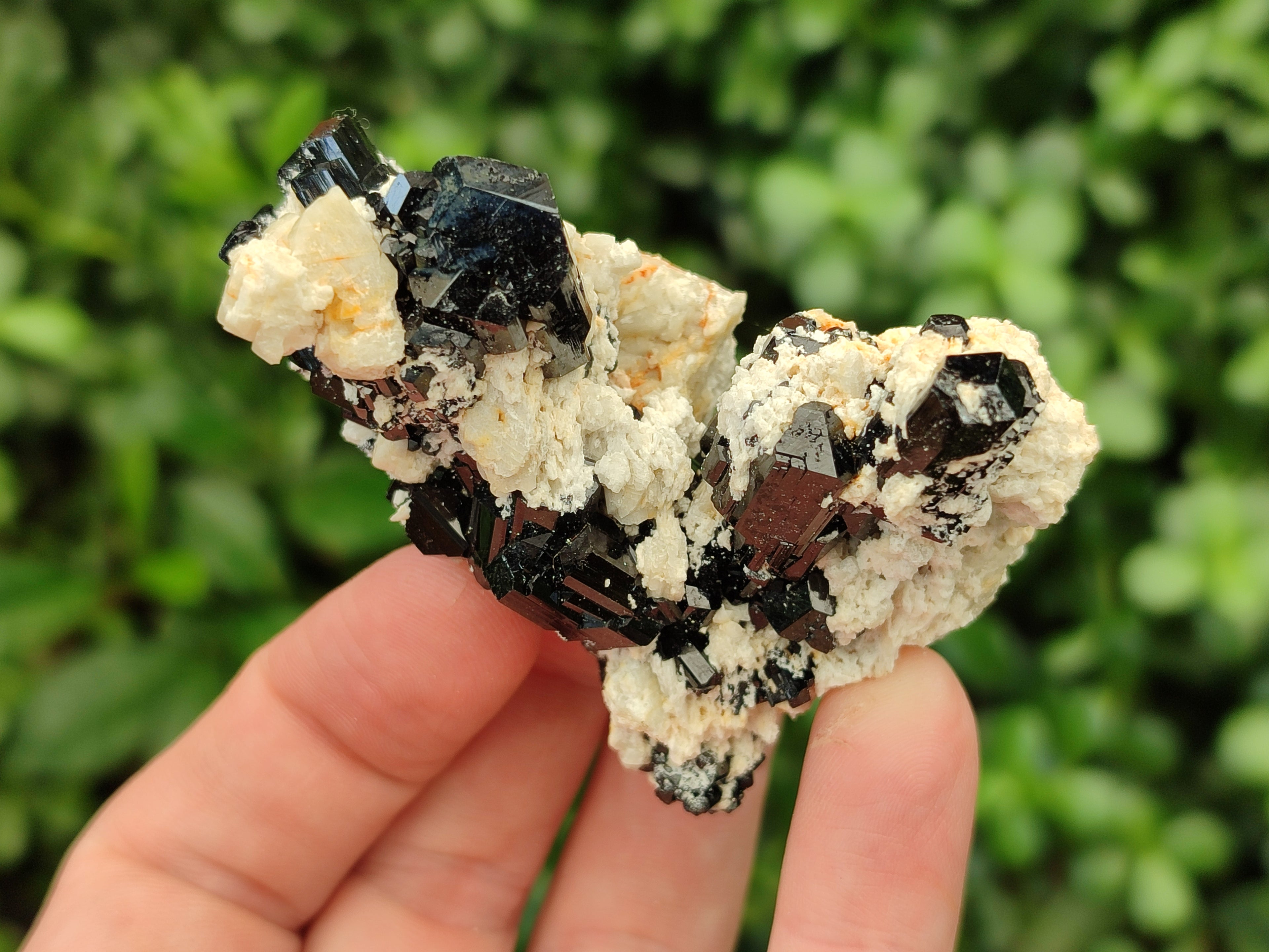 Natural Schorl Black Tourmaline With Hyalite Opal Specimens x 12 From Namibia - Toprock Gemstones and Minerals 